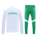 Сборная Сенегала костюм спортивный на длинной молнии бело-зелёный 2025/26