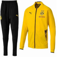 Тренировочный костюм Боруссия черно-желтый сезон 2018/19